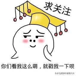 天天洗头头皮屑多像雪花解决办法,天天洗头还有头皮屑头皮发痒脱发