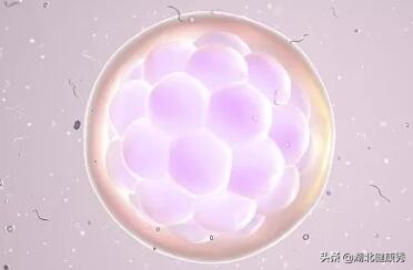 想做试管婴儿，却连这3件事都没弄明白，劝你还是别去浪费时间了