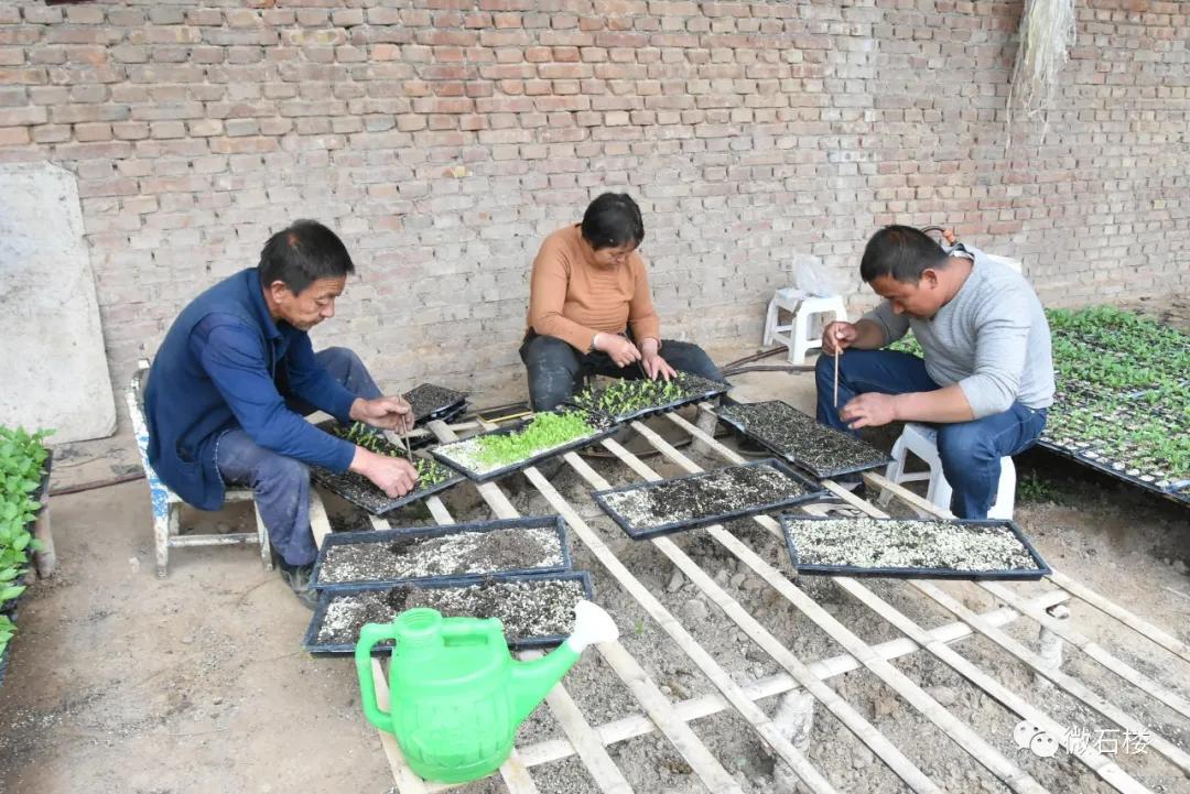 石楼丁喜辉:90后“草根”的创业致富路