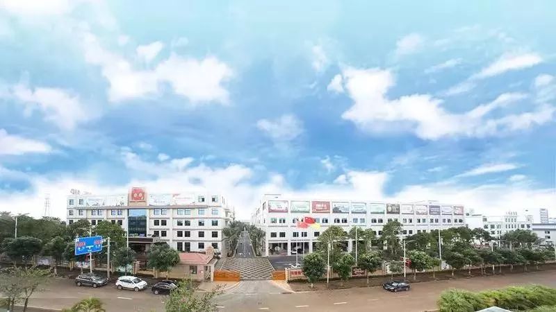 老字号推出月饼新口味你要尝尝吗,一块月饼