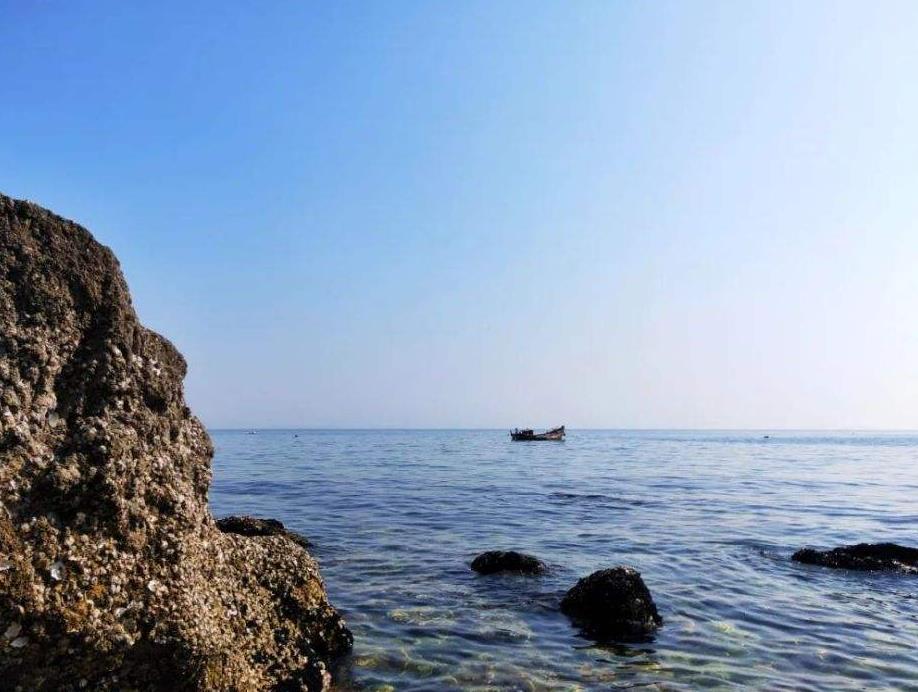 大连市东海公园,大连东海公园景区