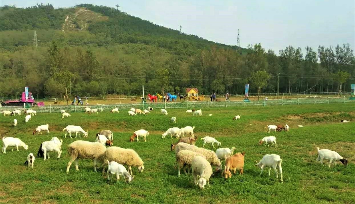 大连铭湖牧场十一还值得去吗,大连铭湖牧场多大面积