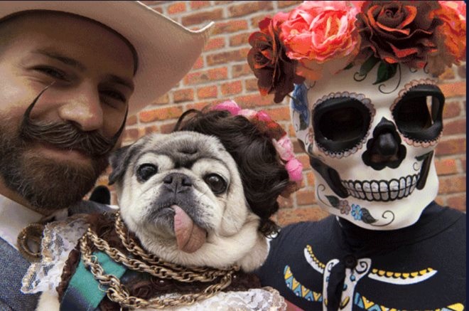 万圣节开展促销活动方案,万圣节活动