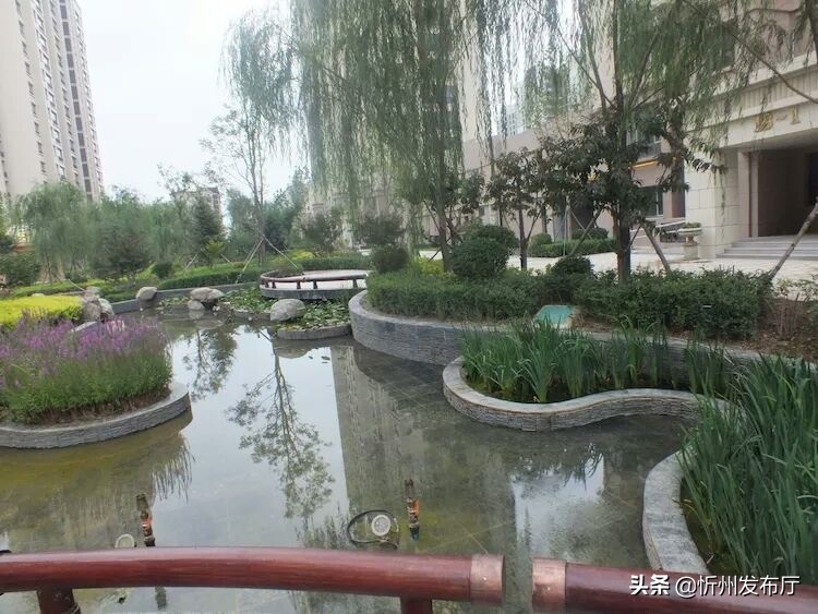 忻州国力花园二期在哪个位置,忻州国力花园五期和国力新城二期