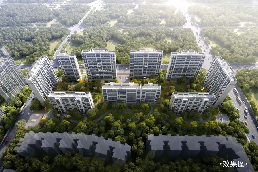 最新消息成华区,最新成华区消息