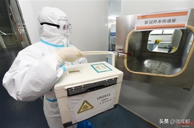 成都第三轮全民核酸检测,成都自费核酸检测多少钱