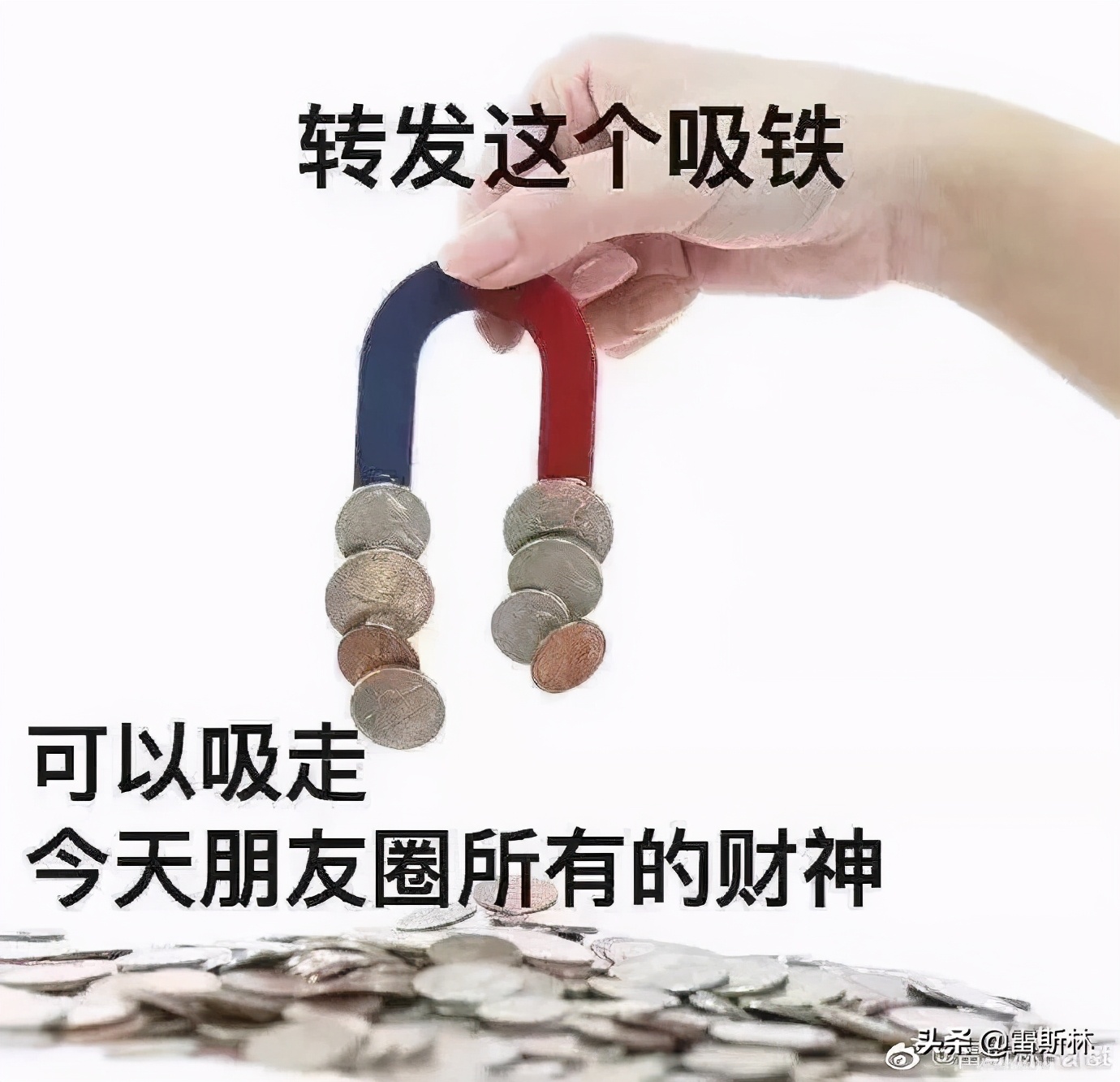 知乎宇宙的秘密,知乎财富