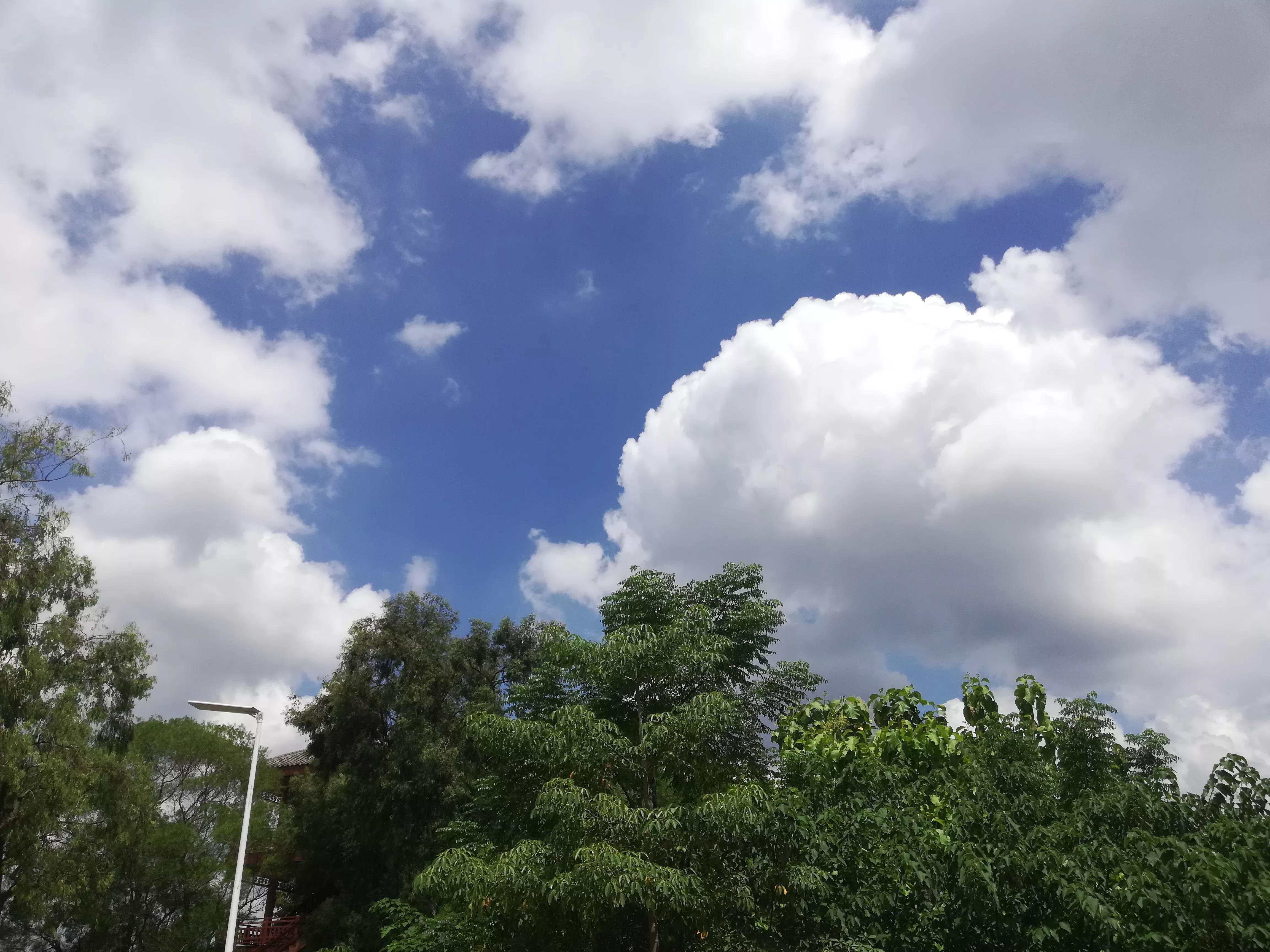 桂花香秋天的味道,南宁青秀山桂花盛开