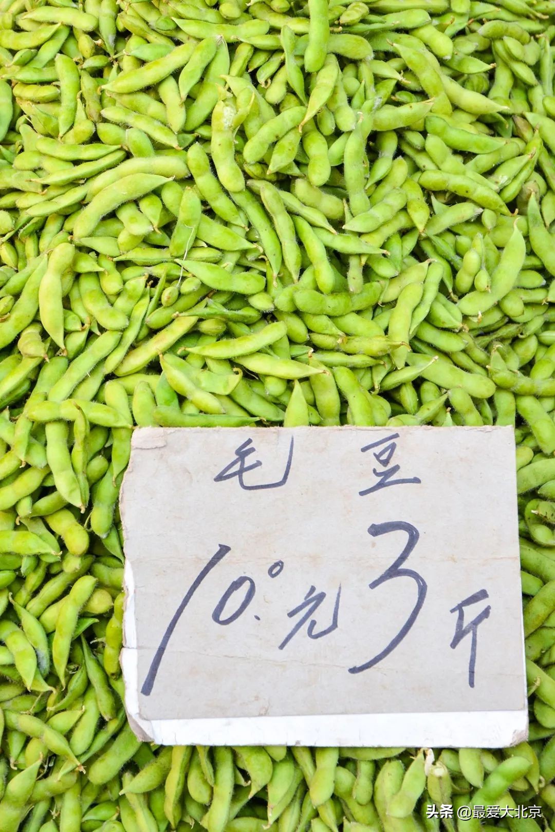 带你逛北京最大早市,北京正宗早市推荐