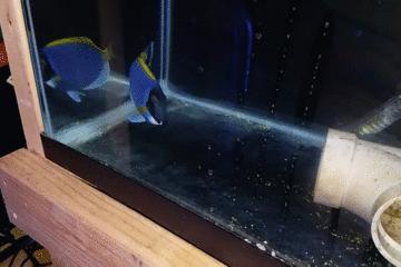 如何拯救海洋,该怎么拯救大海