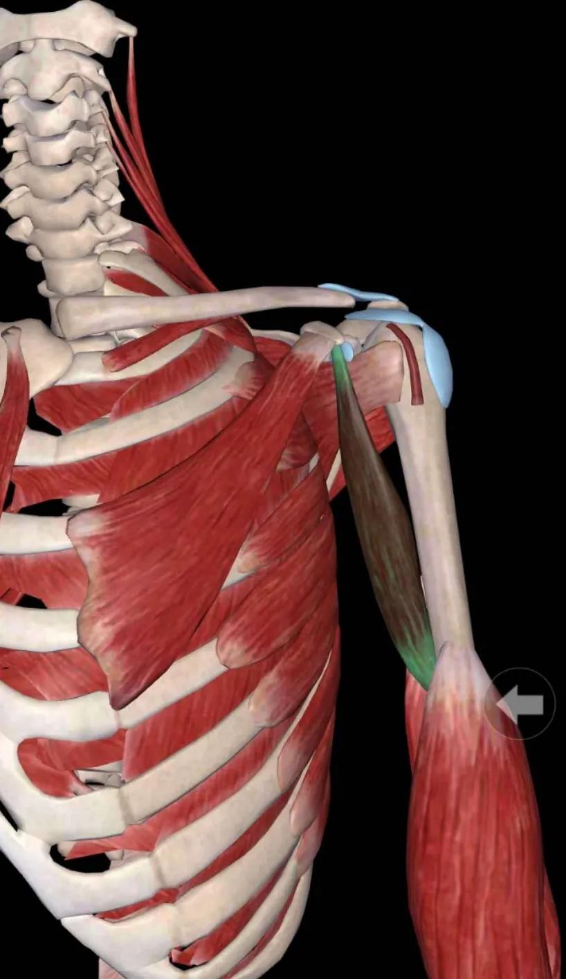 中医不是慢郎中第一集,中医不是慢郎中央视十套