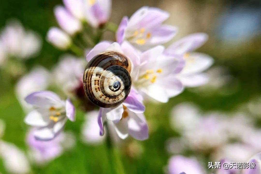 徕卡哈苏直出对比,徕卡哈苏蔡司排名