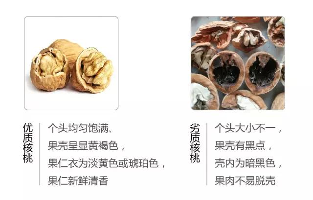 电视台曝光！这种坚果过年别买，这里教你如何选购？