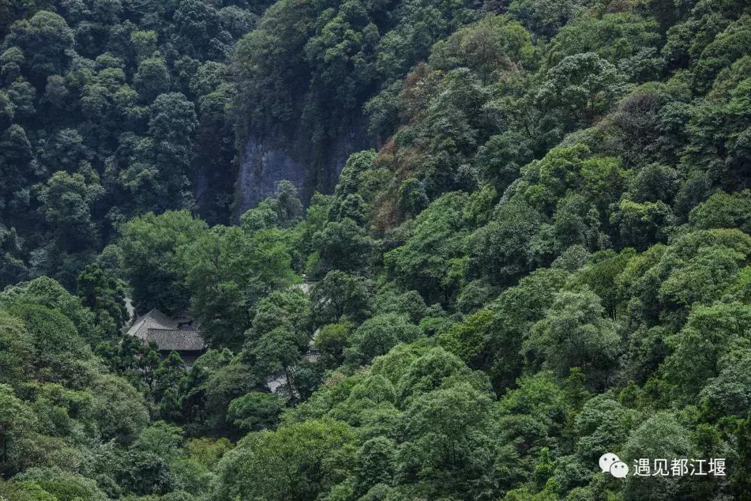 四川在青城山的大学,青城山可以去学习吗