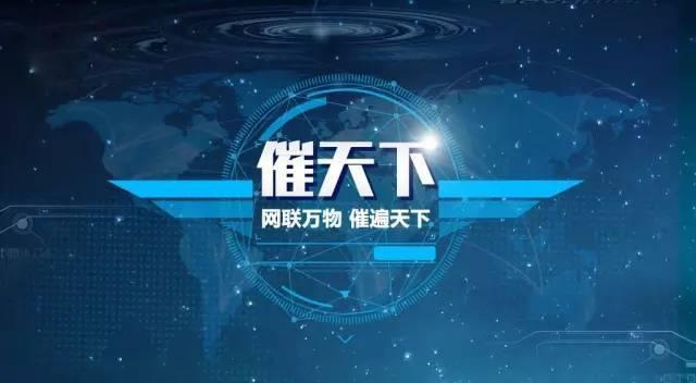 如果担保人担保了资金该怎么做,担保人在担保期间转移资产合法吗