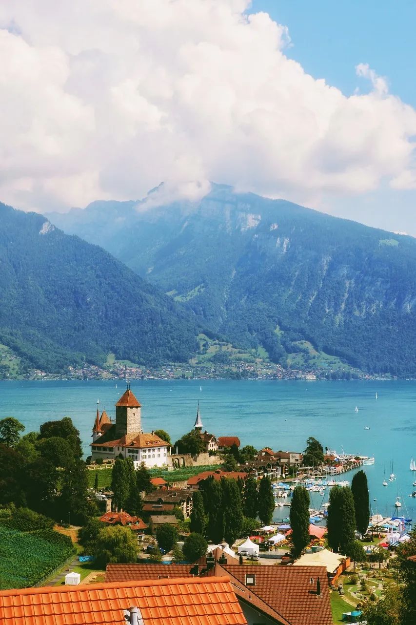 宅家最舒服的景区,宅家最好玩的地方