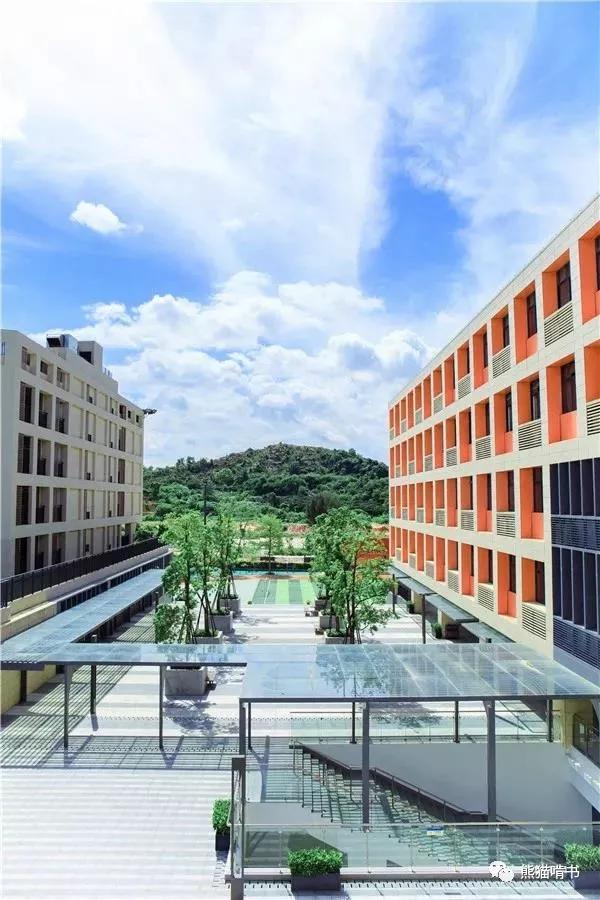 深圳南山小学排名一览表最新,扒一扒深圳知名小学南山篇