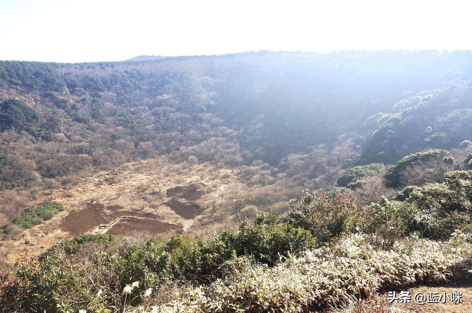 济州岛山君不离完整版,原始济州岛游玩攻略