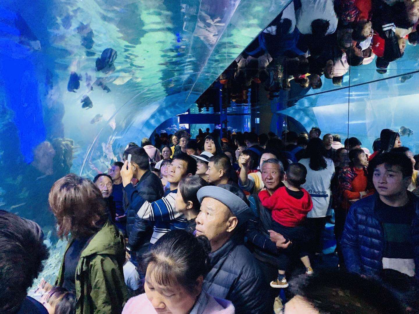 云南打卡景点推荐,云南大理网红打卡地