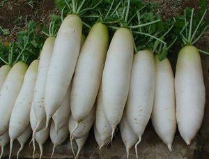 12个菜农不对外说的买菜窍门，新鲜水嫩，菜贩子：一看就是行家