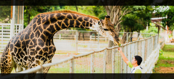 深度玩转泰国攻略,泰国游国际漫游