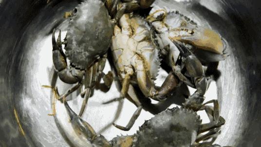 宁波杭州湾世纪城在哪个区,宁波杭州湾新区发展历程