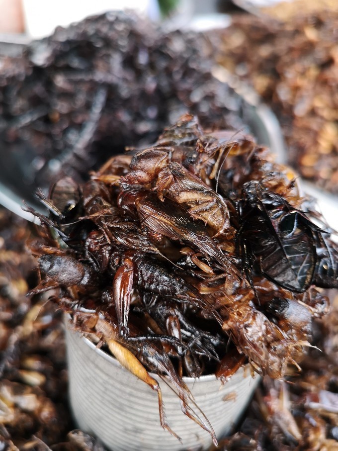 柬埔寨暹粒市旅游攻略,旅游柬埔寨必读完整攻略指南