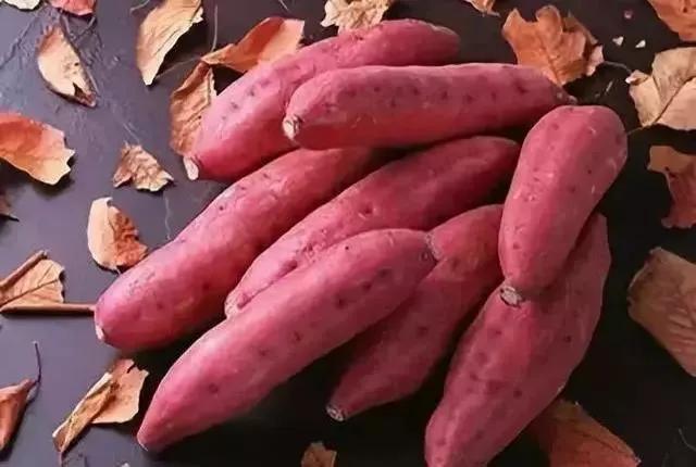 最容易瘦的主食篇,十二种主食食谱一周瘦10斤