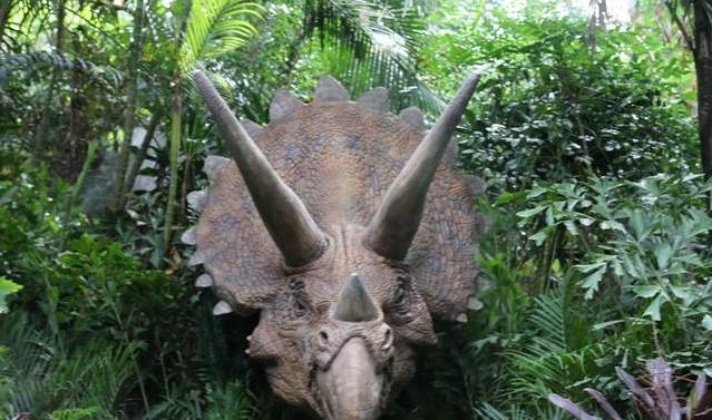 广州长隆四天三晚旅游推荐,4天去广州长隆和珠海看海怎么玩