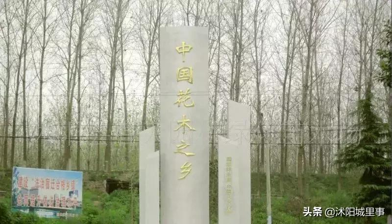 沭阳区划历史,沭阳原来有哪些乡镇