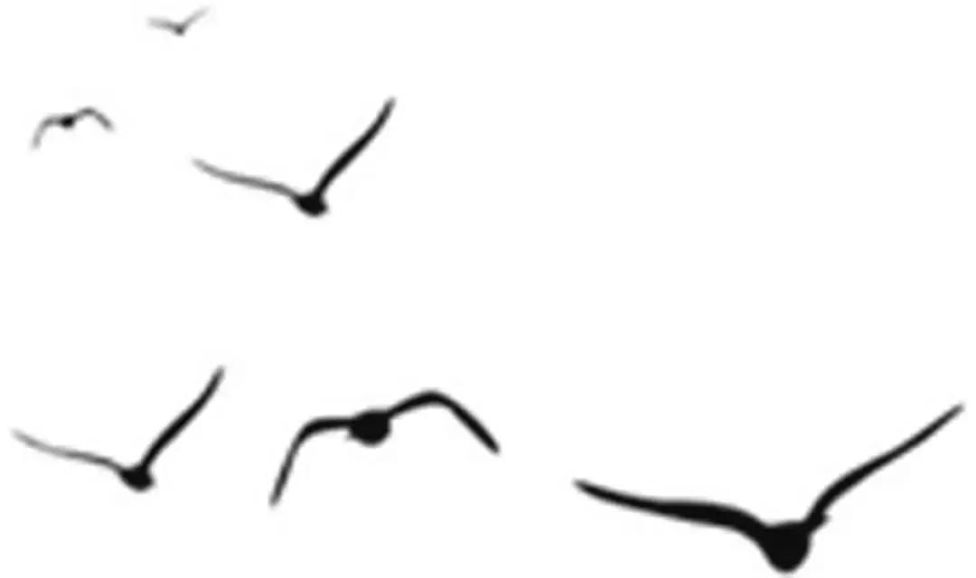 安顺十大网红打卡景点,安顺野景点成热门打卡地