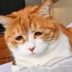 南极人秋裤好还是恒源祥好,南极人恒源祥为何便宜