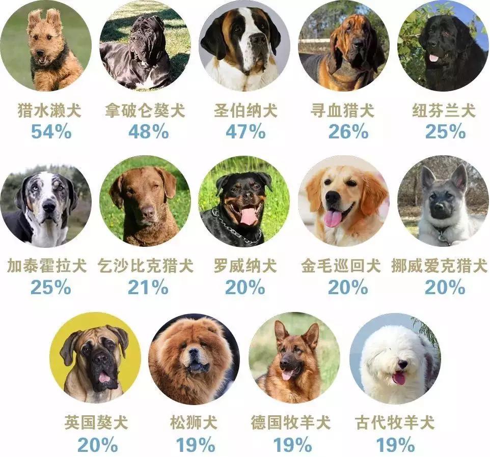 髋关节出了问题一个动作自测,这些症状你千万别再忽略了