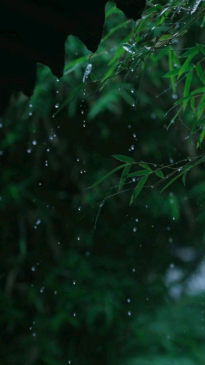 怀念过往的岁月散文,感悟流年散文