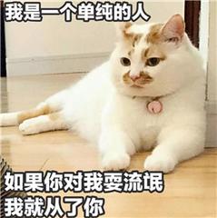 只需一分钟让你的ppt惊艳全场,制作惊艳的ppt