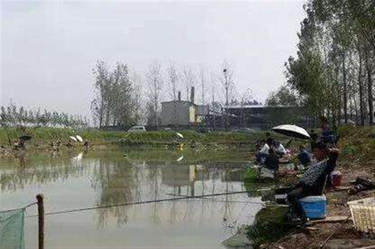 十种钓大鱼绝招,窝鱼技巧