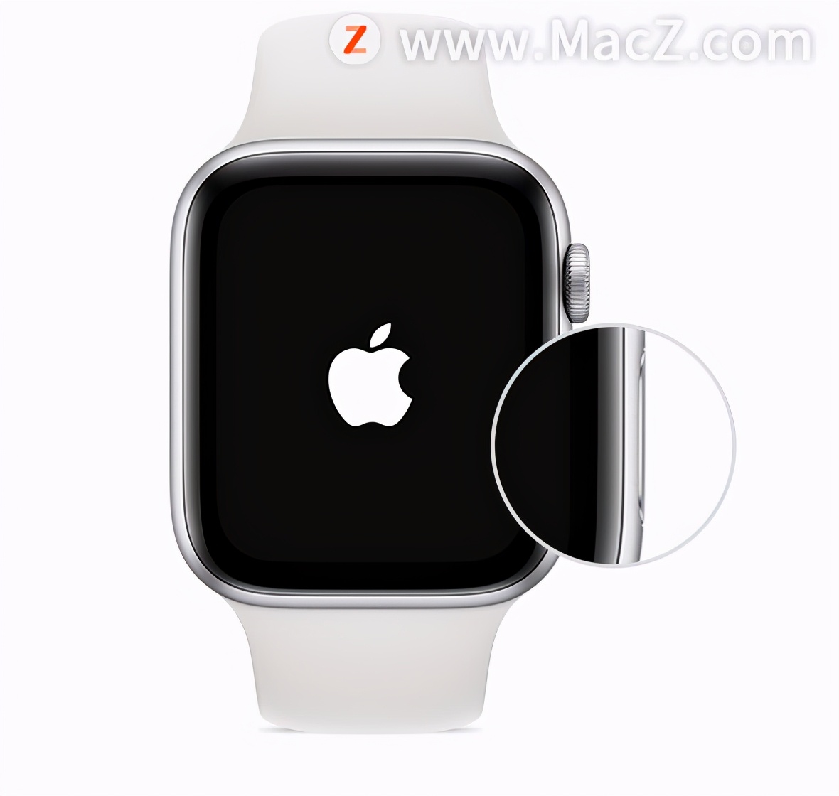 applewatch照片表盘怎么设置,applewatch怎么设置抬腕唤醒siri