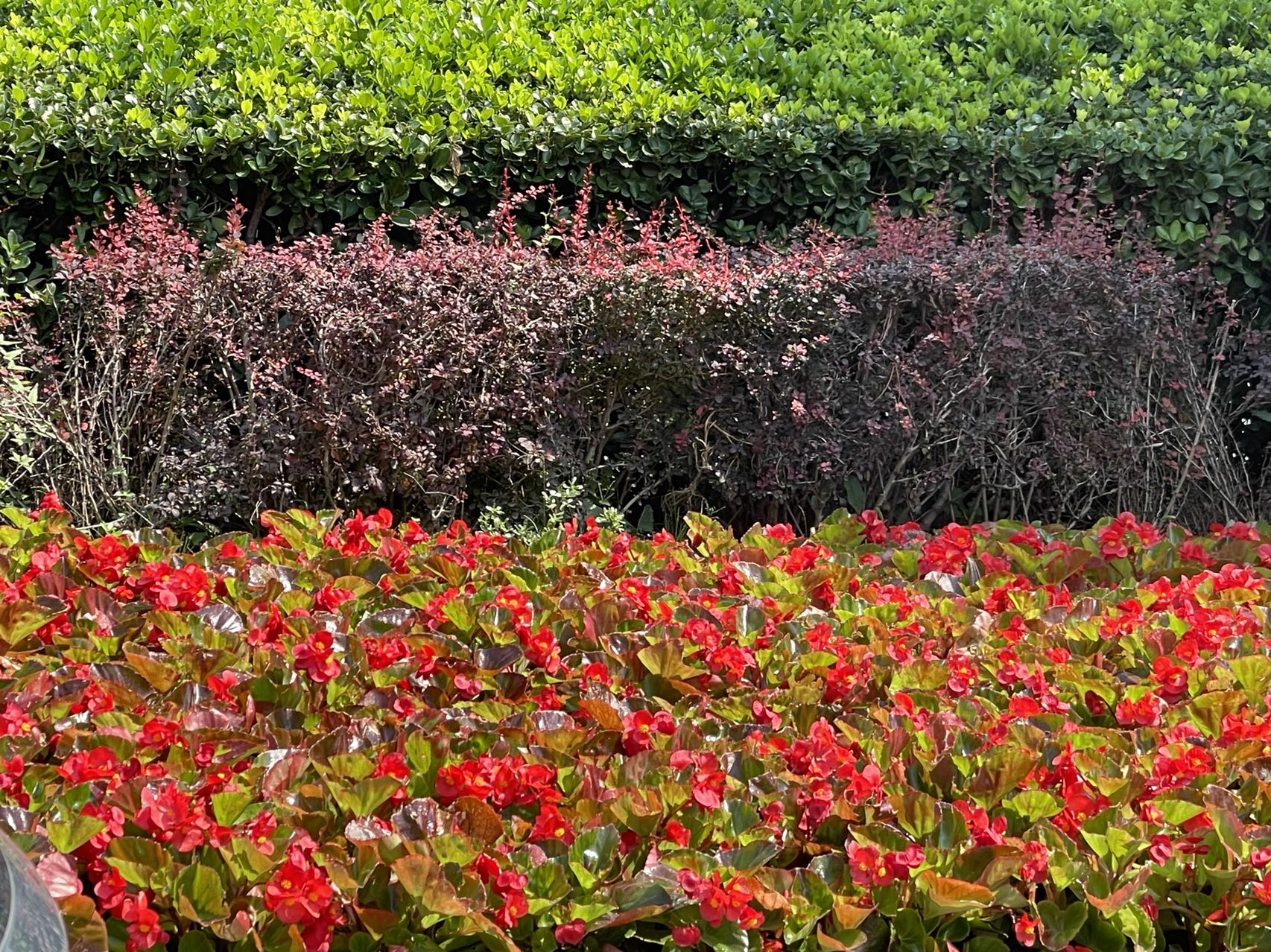 艾克拜尔·米吉提翻译风格,艾克拜尔米吉提简介