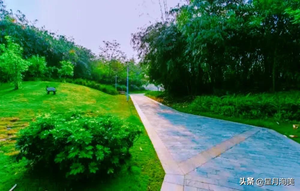 成都小众打卡地点推荐,成都小众但值得去的地方