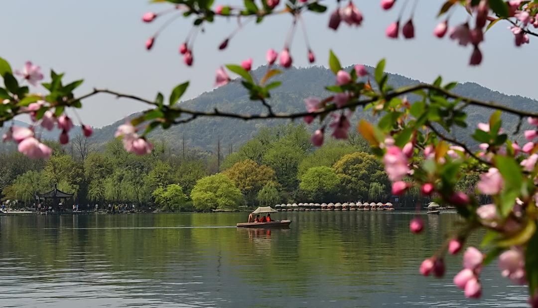 春风春雨花草香,春花春雨春风