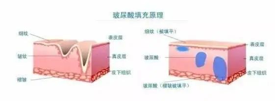 科颜氏抗初老精华露元气弹,科颜氏小白瓶跟元气弹