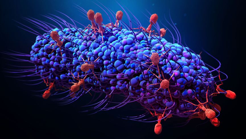 病毒从哪里来怎么画,病毒从哪里来的动画