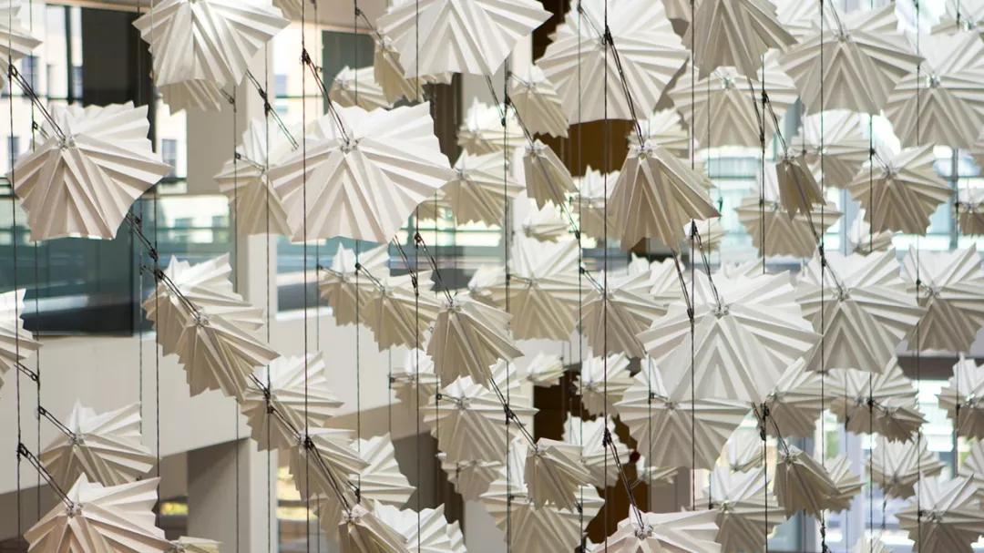 美得足以让人忘记时间流逝,美得让人静止的瞬间