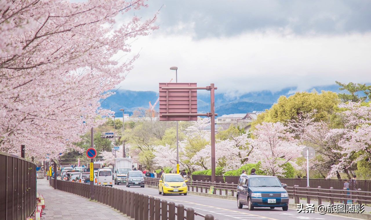 中国人赴日旅游数据,中国赴日旅游数据
