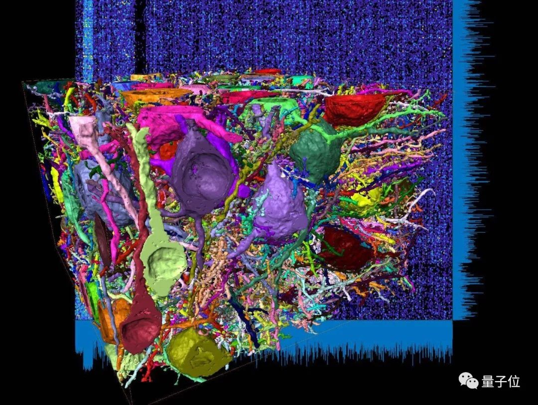 science蛋白质封面,重塑大脑的神经网络的方法