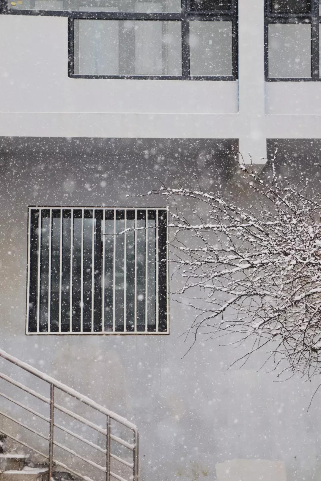 辽宁省高校(三十二)大连外国语大学