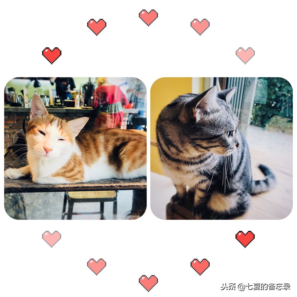 没想到离海洋最远的乌鲁木齐，也有执着每一杯品质的精品咖啡店