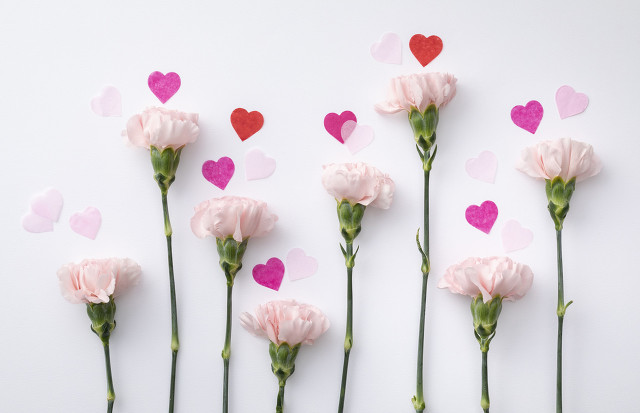 没出息的我改编搞笑歪唱歌曲,没出息的我文字图片