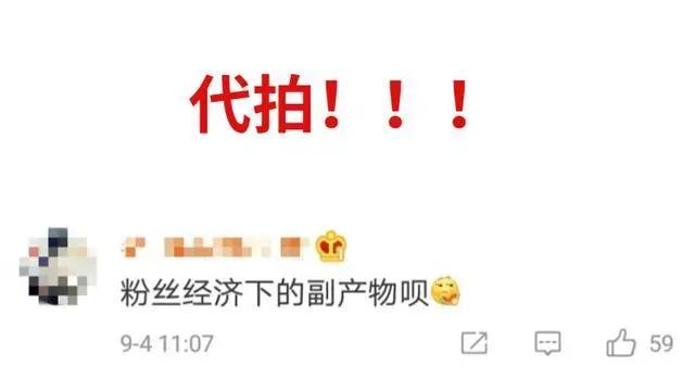 代拍赚钱项目有哪些,那些代拍是怎么赚钱的