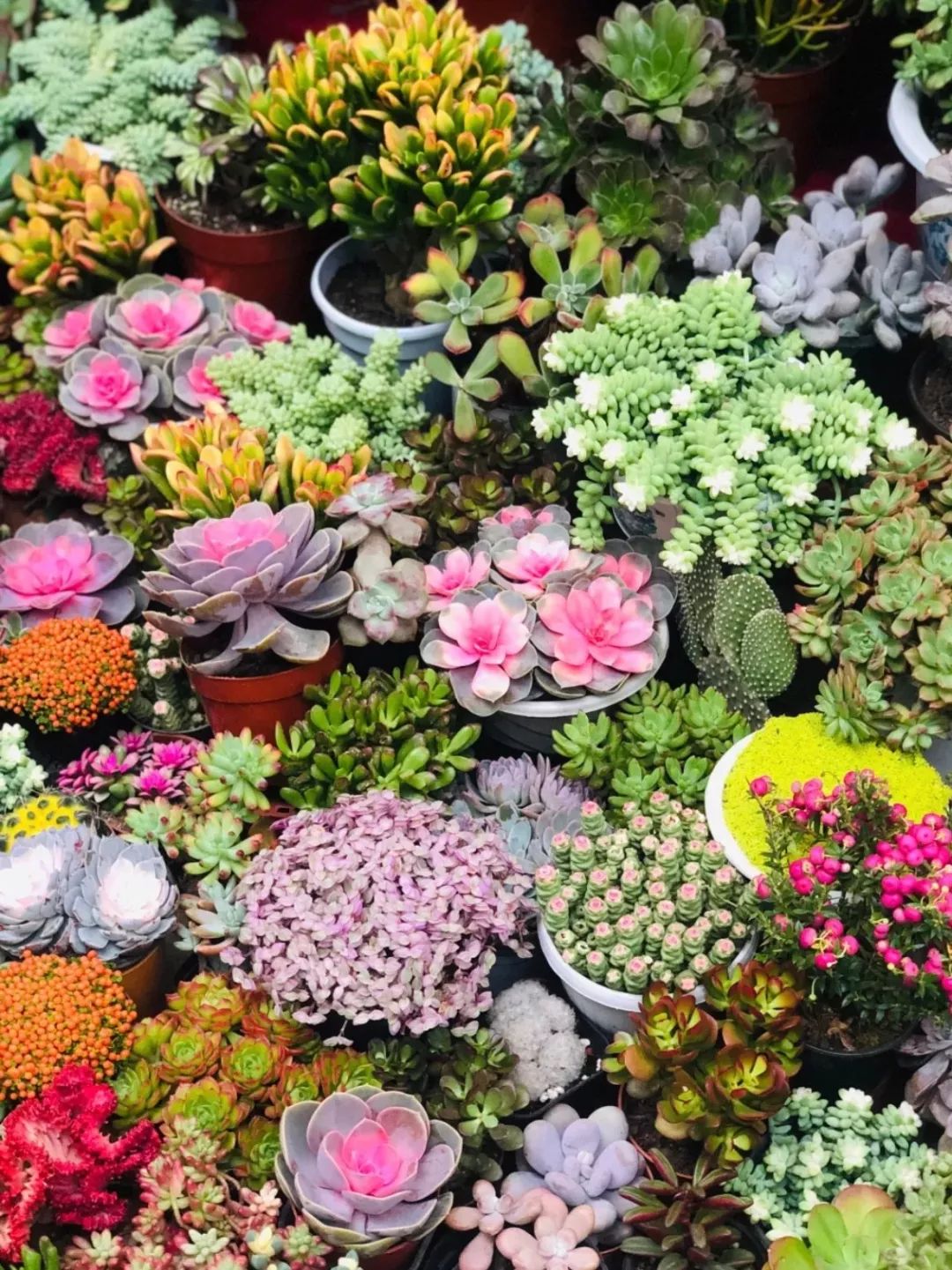 最新最全版私藏版《西安批发市场地图》来啦